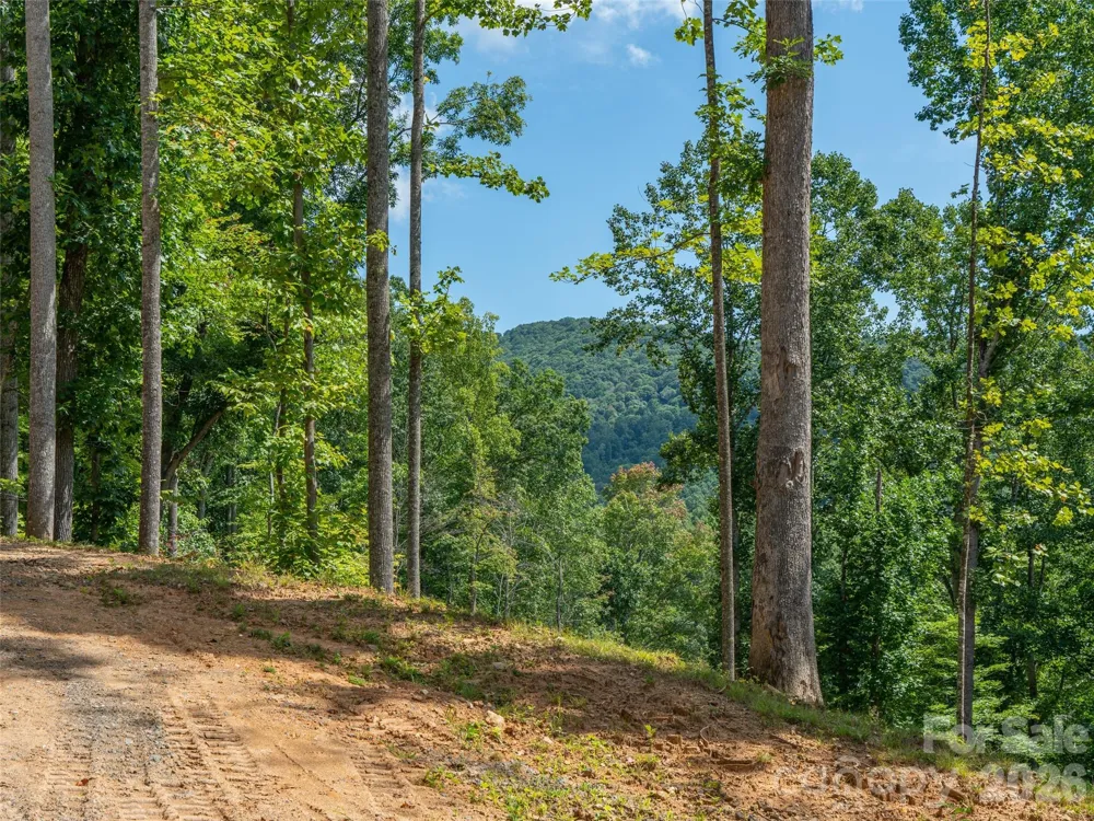 000 Locust Rough Mountain Road #Lot 6 Burnsville, NC 28714