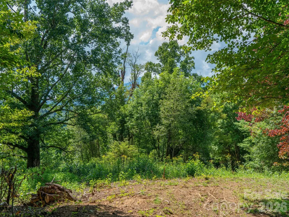 000 Locust Rough Mountain Road #Lot 6 Burnsville, NC 28714