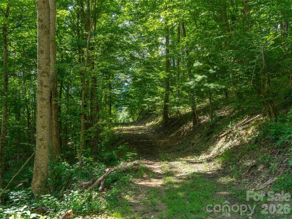 000 Locust Rough Mountain Road #Lot 6 Burnsville, NC 28714