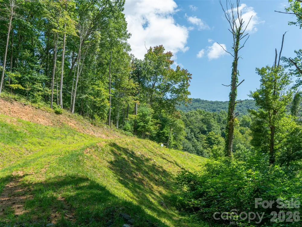 000 Locust Rough Mountain Road #Lot 6 Burnsville, NC 28714