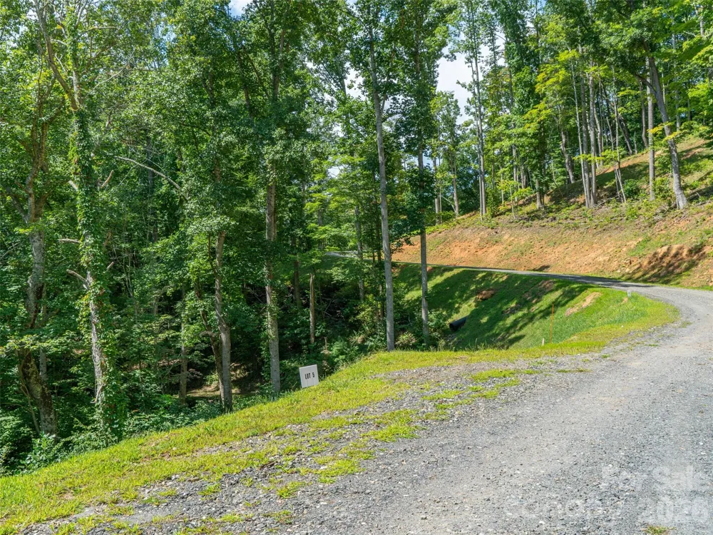 000 Locust Rough Mountain Road #Lot 6 Burnsville, NC 28714