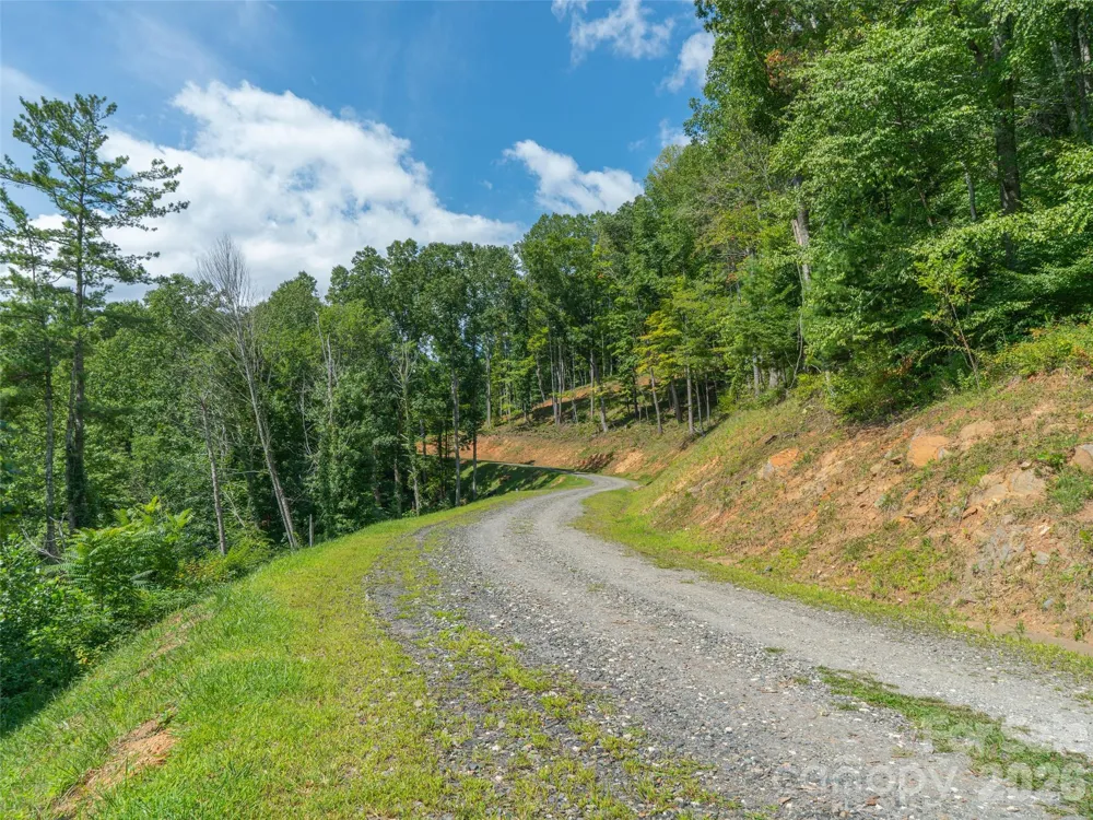 000 Locust Rough Mountain Road #Lot 6 Burnsville, NC 28714