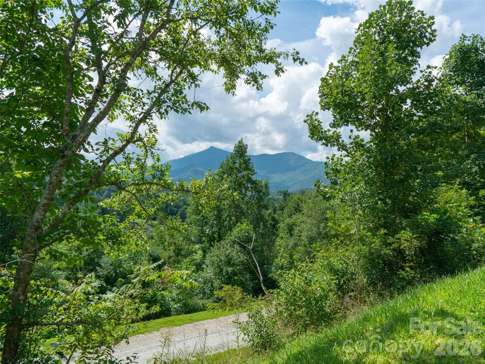 000 Locust Rough Mountain Road #Lot 6 Burnsville, NC 28714