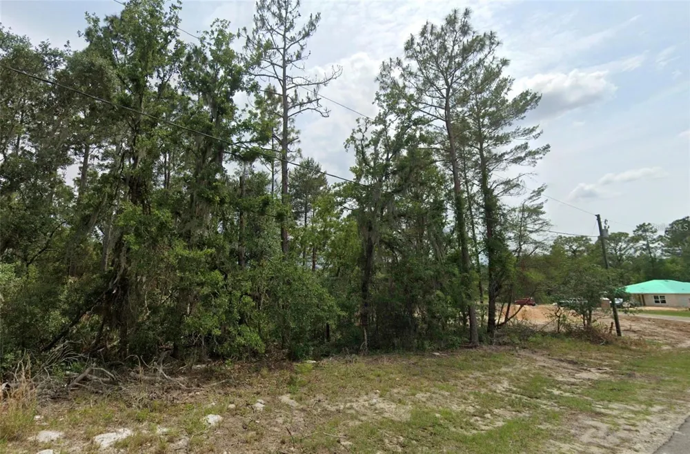 6820 SW 153RD PLACE ROAD ocala, FL 34473