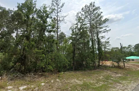 6820 SW 153RD PLACE ROAD