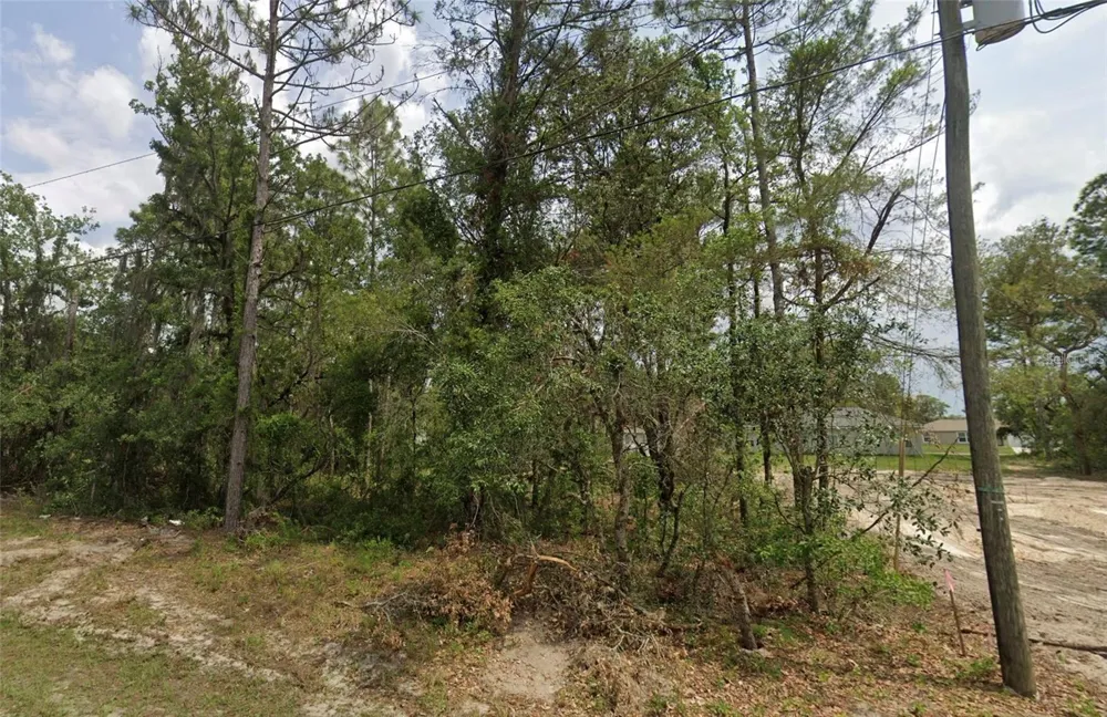 6820 SW 153RD PLACE ROAD ocala, FL 34473