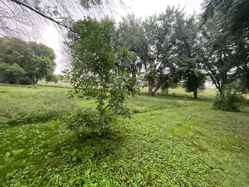 817 Colorado Street NW Lonsdale, MN 55046