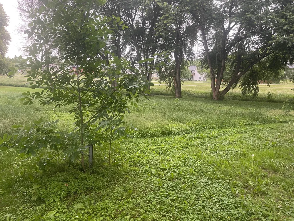 817 Colorado Street NW Lonsdale, MN 55046