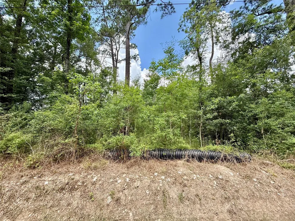 1030 Butler Road Vidor, TX 77662