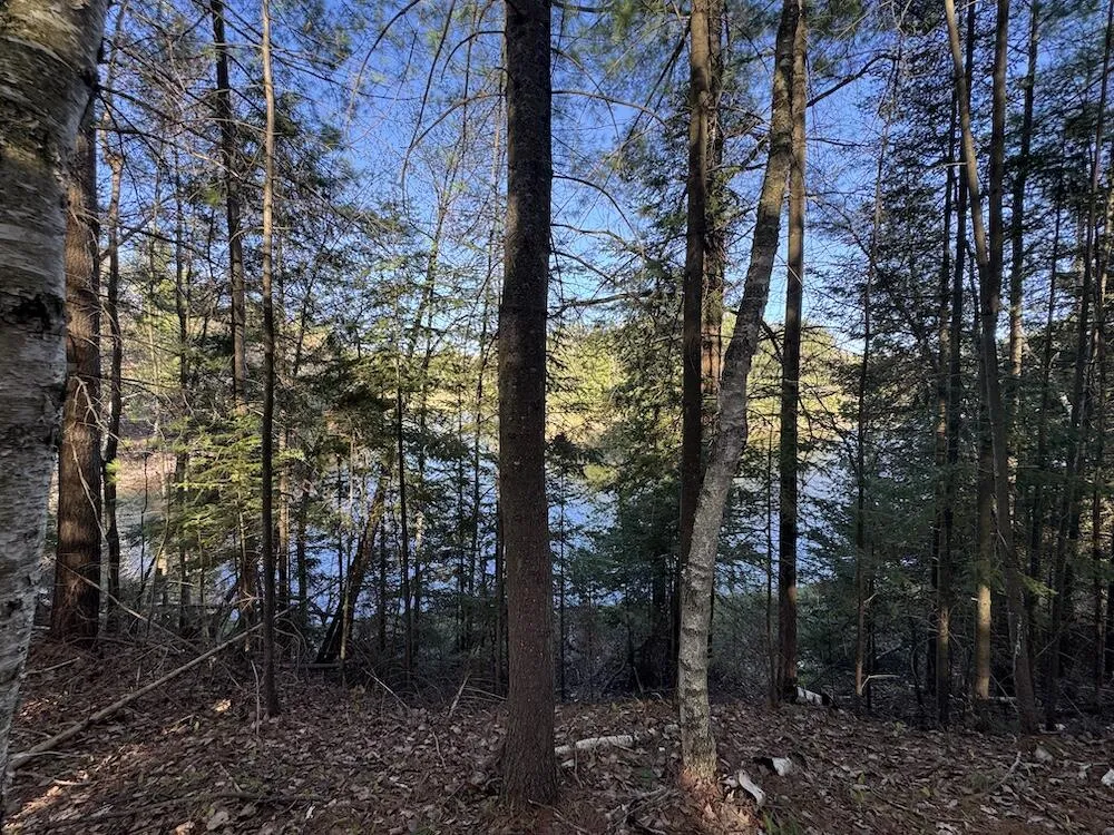 9 V/L Wildwood Road Alger, MI 48610