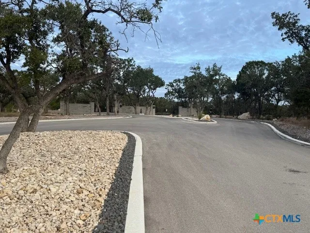 160 Restless Wind Spring Branch, TX 78070