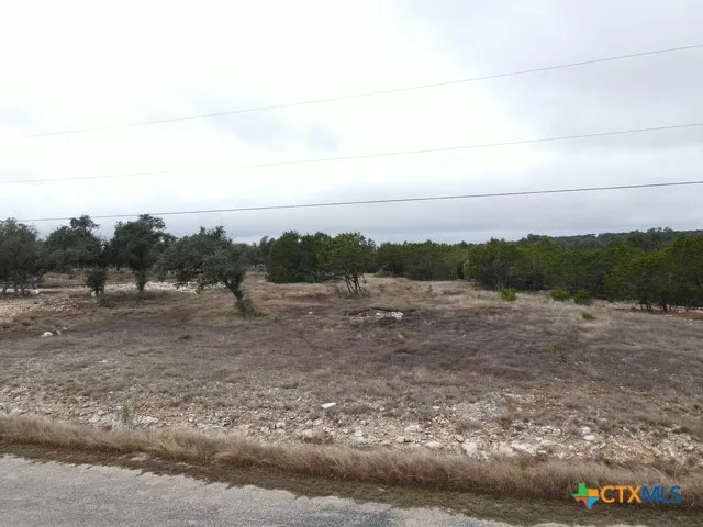 160 Restless Wind Spring Branch, TX 78070