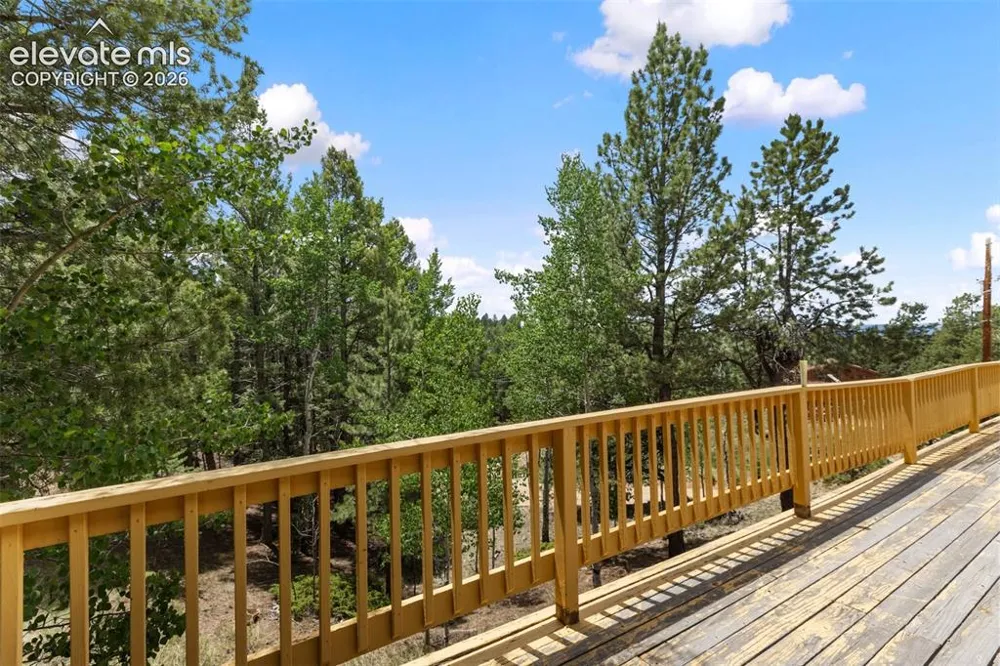 124 Cradle Lake Drive Divide, CO 80814
