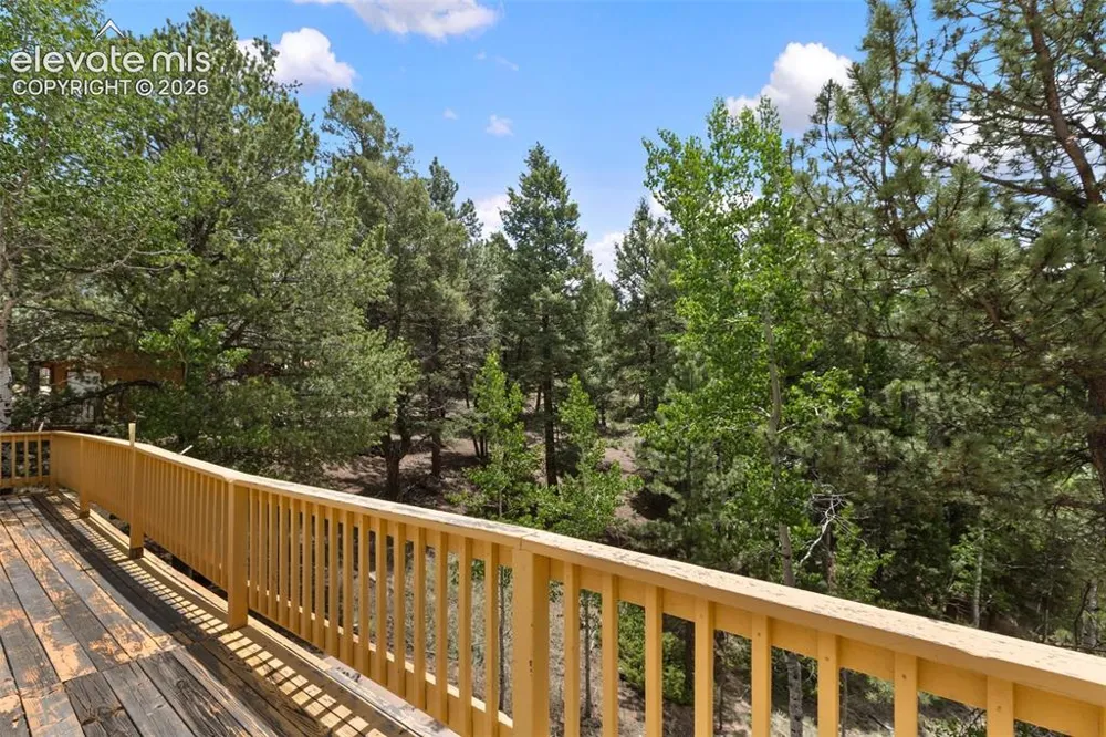 124 Cradle Lake Drive Divide, CO 80814