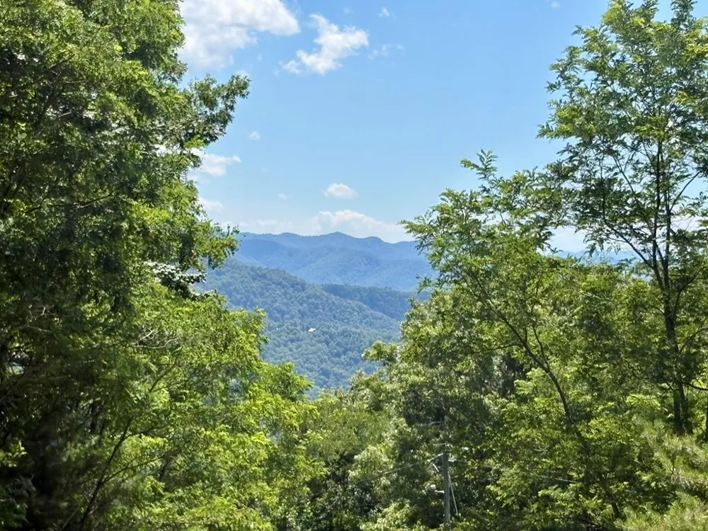 Eagles Roost Road Bryson City, NC 28713