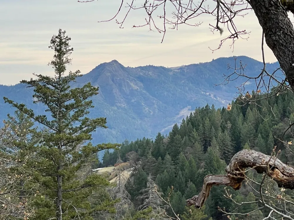 7601 Simmerly Road Laytonville, CA 95454