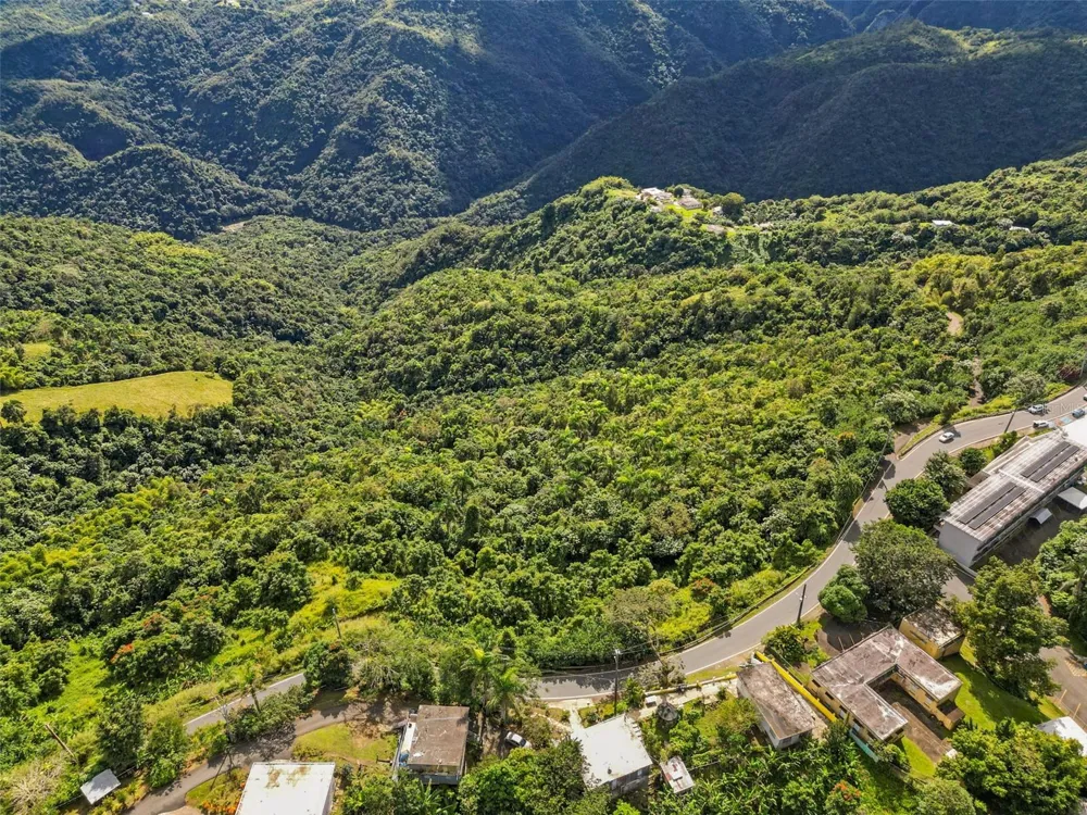 Carr. 156 KM 20.1 INTERIOR BO. HONDURAS Barranquitas, PR 00794