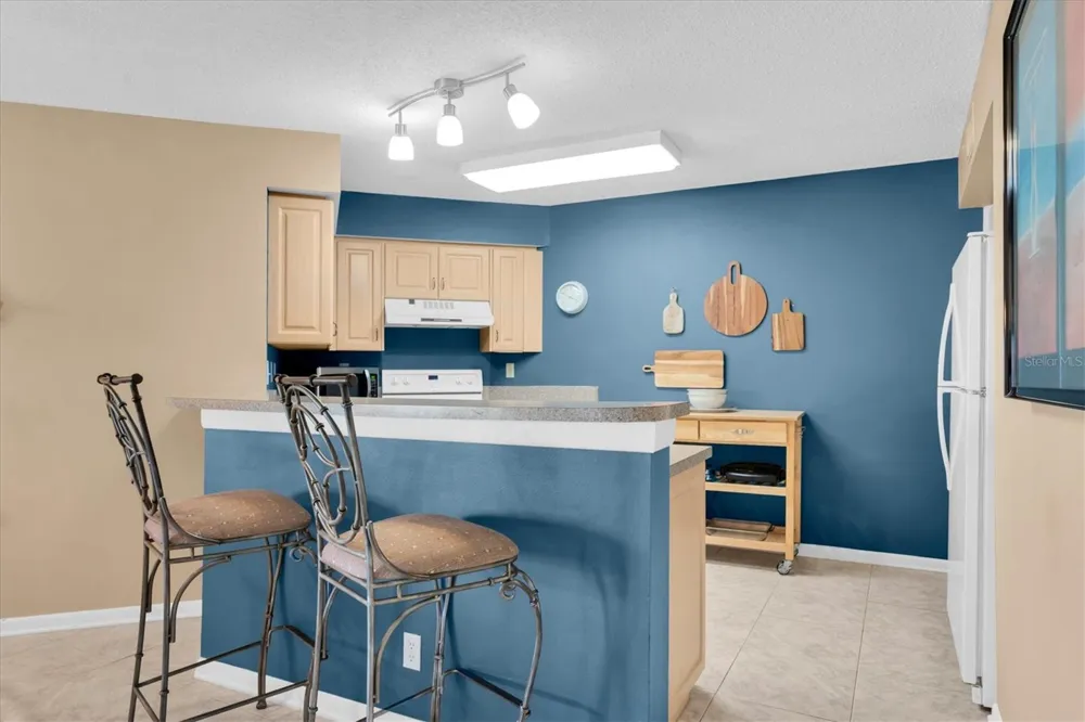 6000 BAHIA DEL MAR CIRCLE #131 St Petersburg, FL 33715