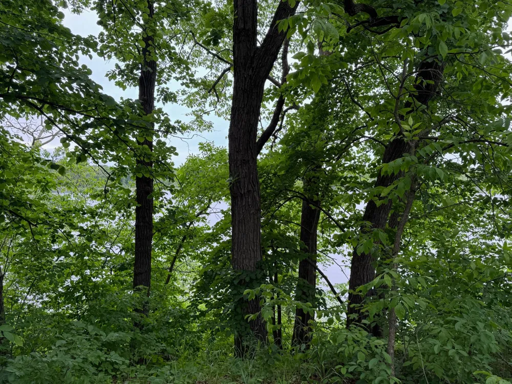 14314 Stocking Lake Road Menahga, MN 56464