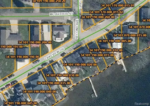 1138 Lakeview Drive Lake Odessa Village, MI 48849