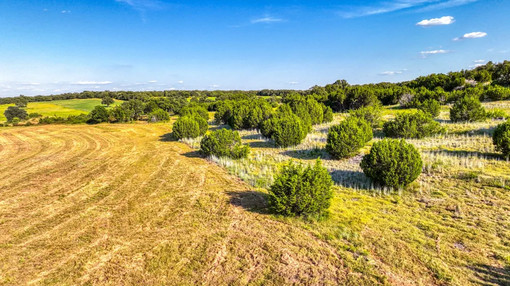 Three Quarter Loop Poolville, TX 76487