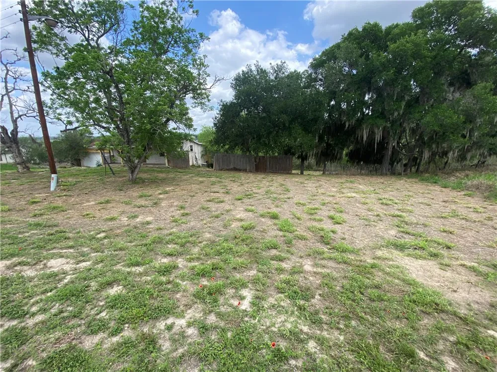 544 S Vista Drive Sandia, TX 78383