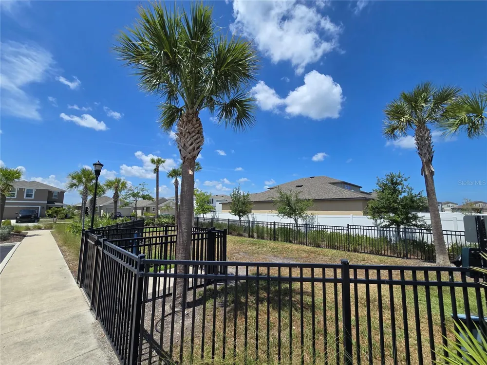 838 OLIVE CONCH STREET Ruskin, FL 33570