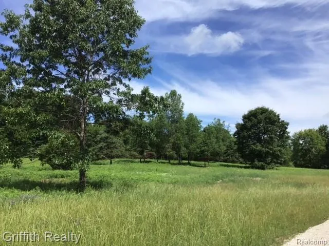 1 E Coon Lake Road Genoa Township, MI 48843