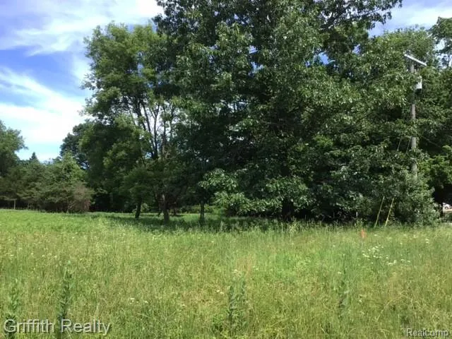 1 E Coon Lake Road Genoa Township, MI 48843