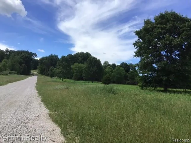 1 E Coon Lake Road Genoa Township, MI 48843