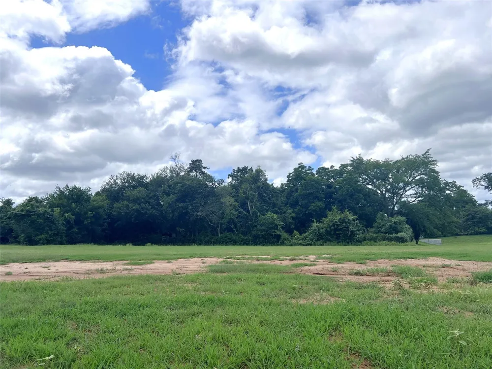 2423 Pecan Crossing Court Brenham, TX 77833
