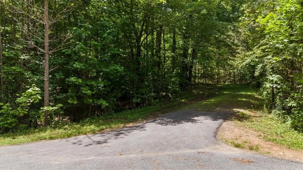 Lot 60 Meadow Brooke Drive Young Harris, GA 30582