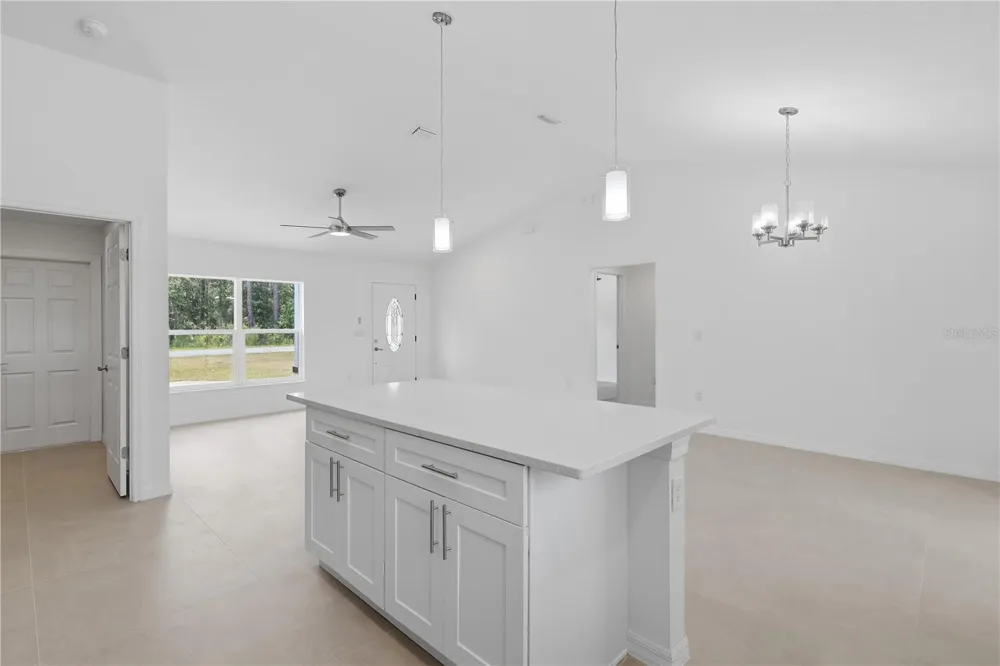 3 SEQUOIA DRIVE TRACE Ocklawaha, FL 32179