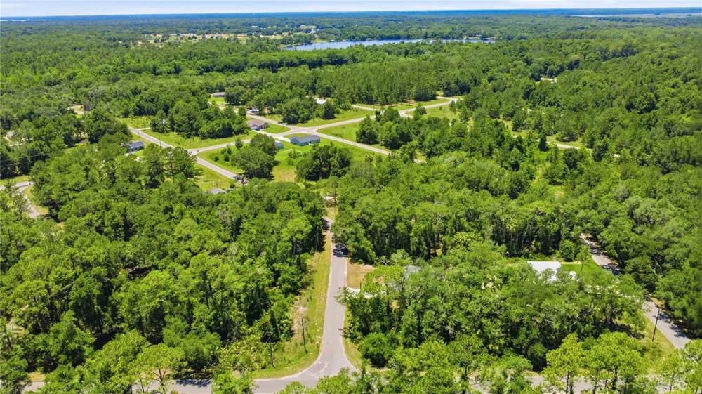 3 SEQUOIA DRIVE TRACE Ocklawaha, FL 32179