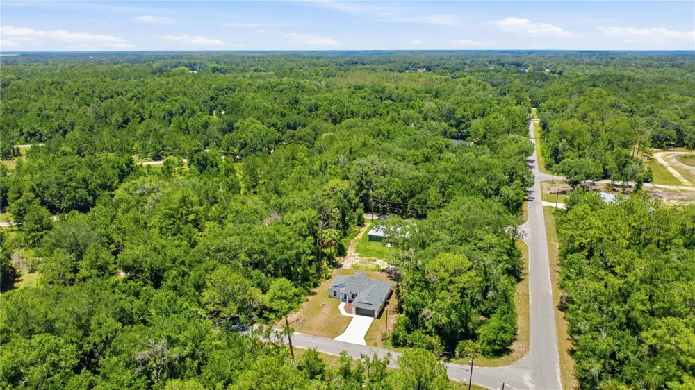 3 SEQUOIA DRIVE TRACE Ocklawaha, FL 32179