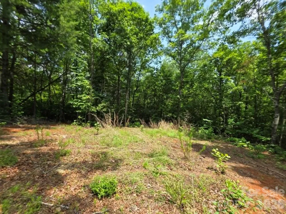 169 Fairfield Lane Marion, NC 28752