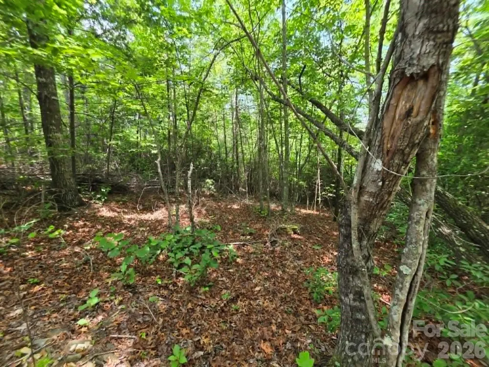 169 Fairfield Lane Marion, NC 28752