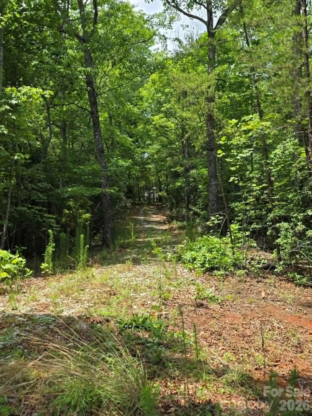 169 Fairfield Lane Marion, NC 28752