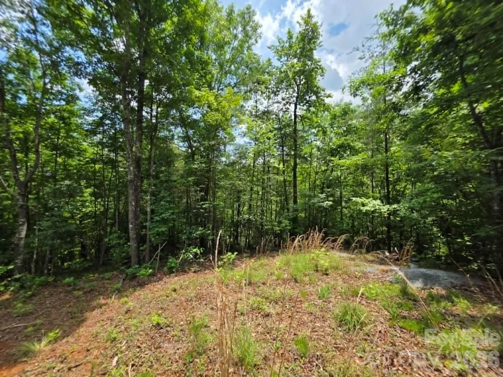 169 Fairfield Lane Marion, NC 28752