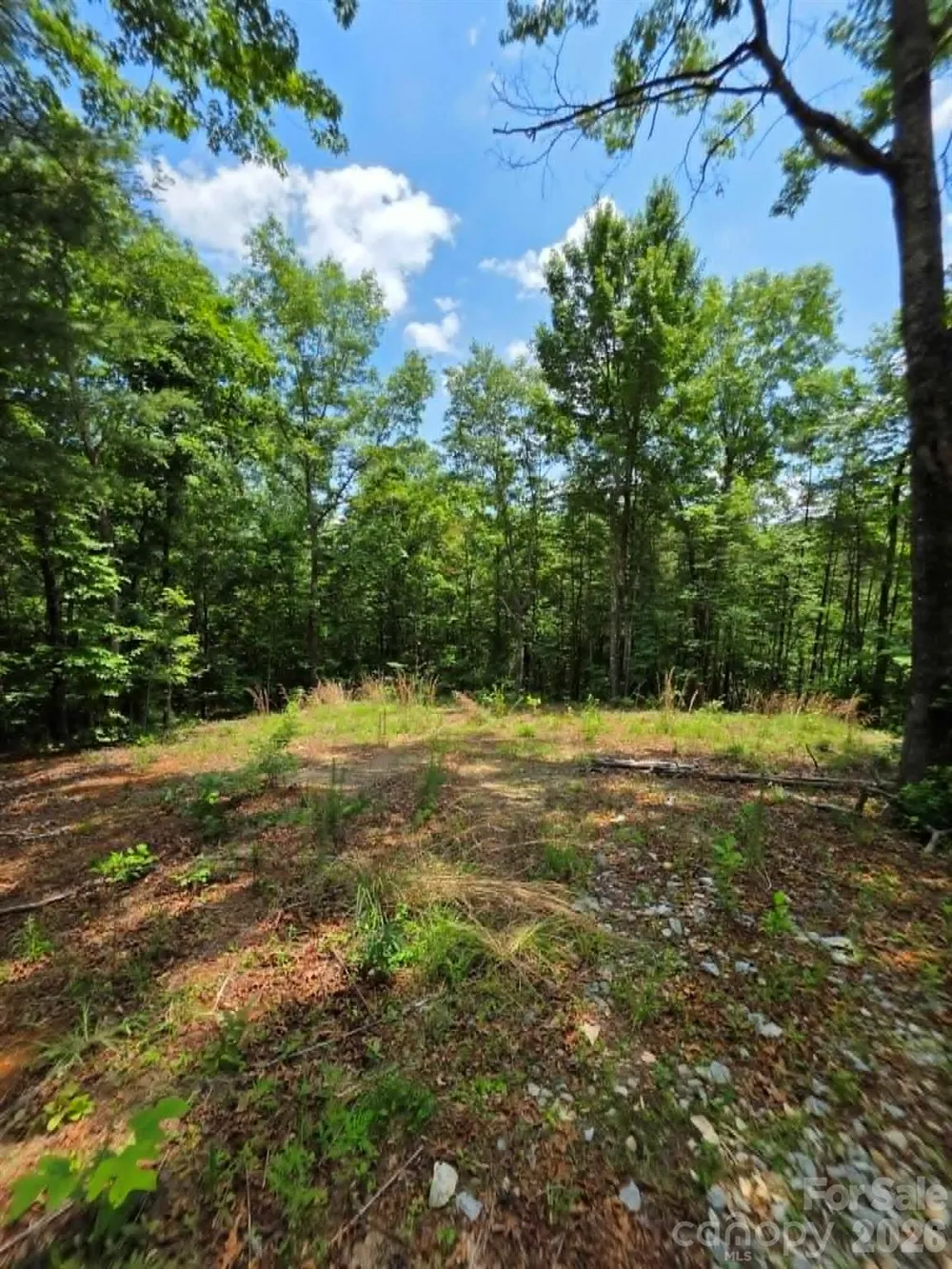 169 Fairfield Lane Marion, NC 28752