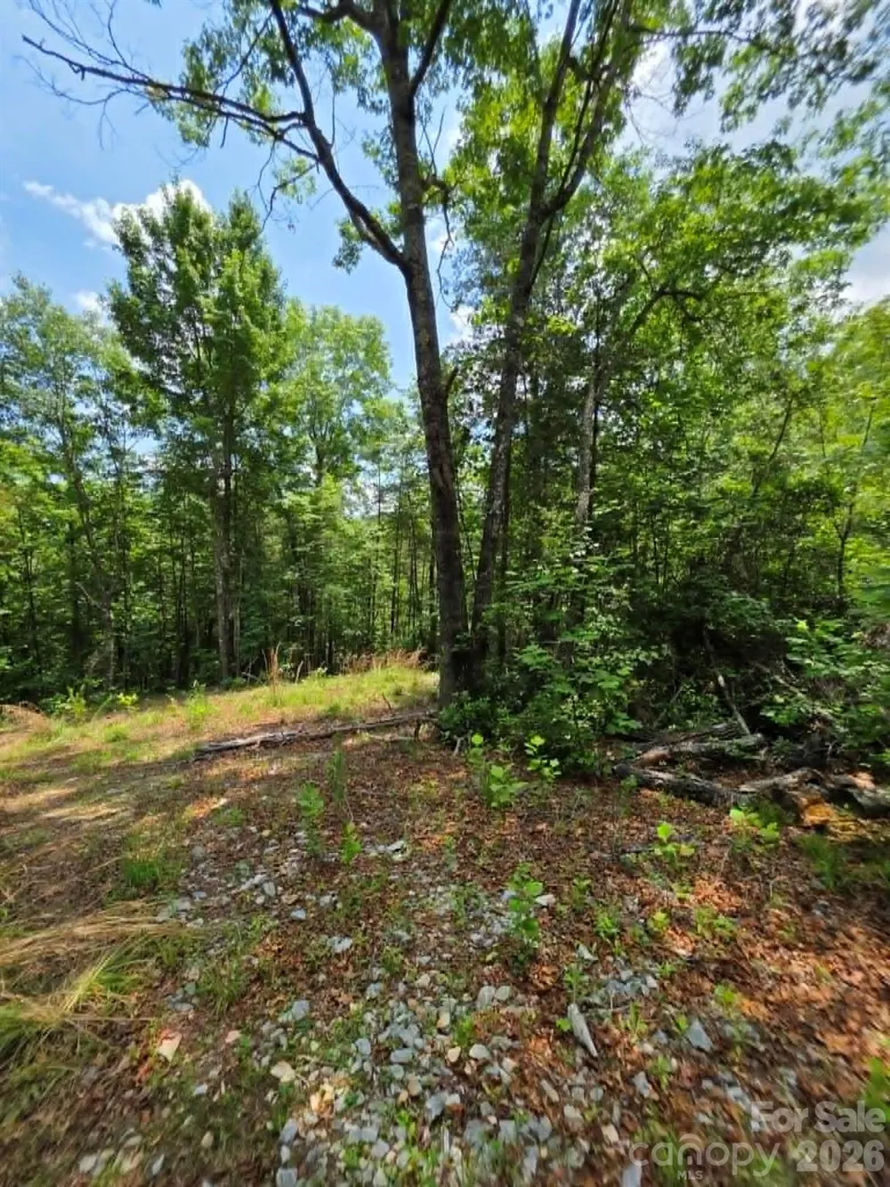 169 Fairfield Lane Marion, NC 28752