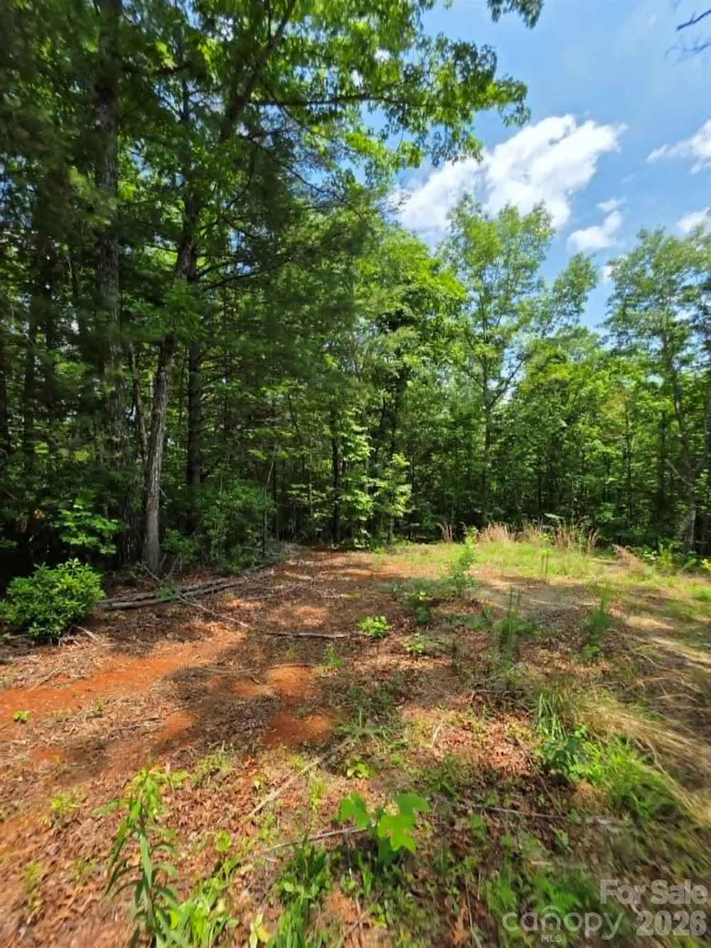 169 Fairfield Lane Marion, NC 28752