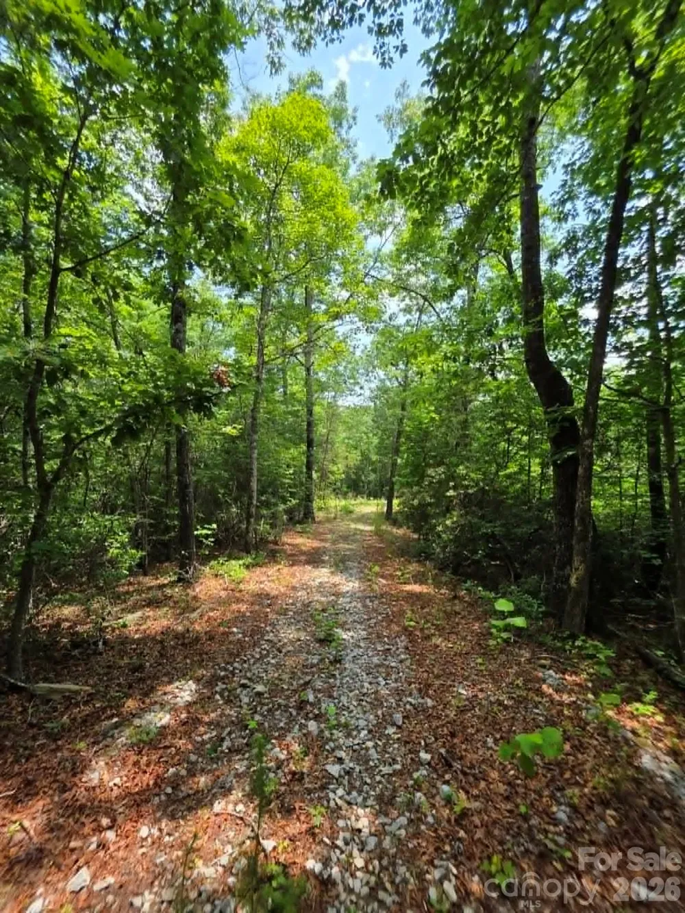 169 Fairfield Lane Marion, NC 28752