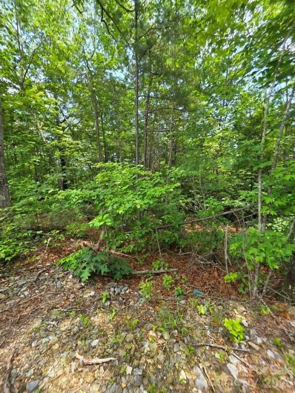 169 Fairfield Lane Marion, NC 28752