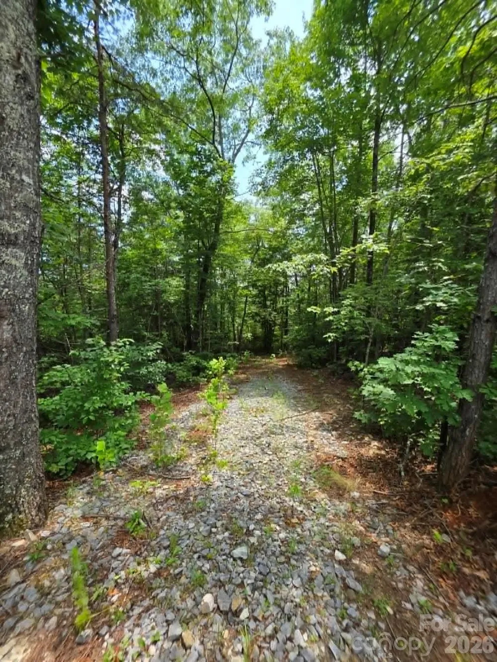 169 Fairfield Lane Marion, NC 28752