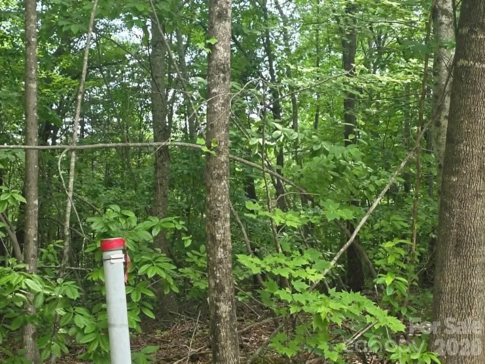 169 Fairfield Lane Marion, NC 28752