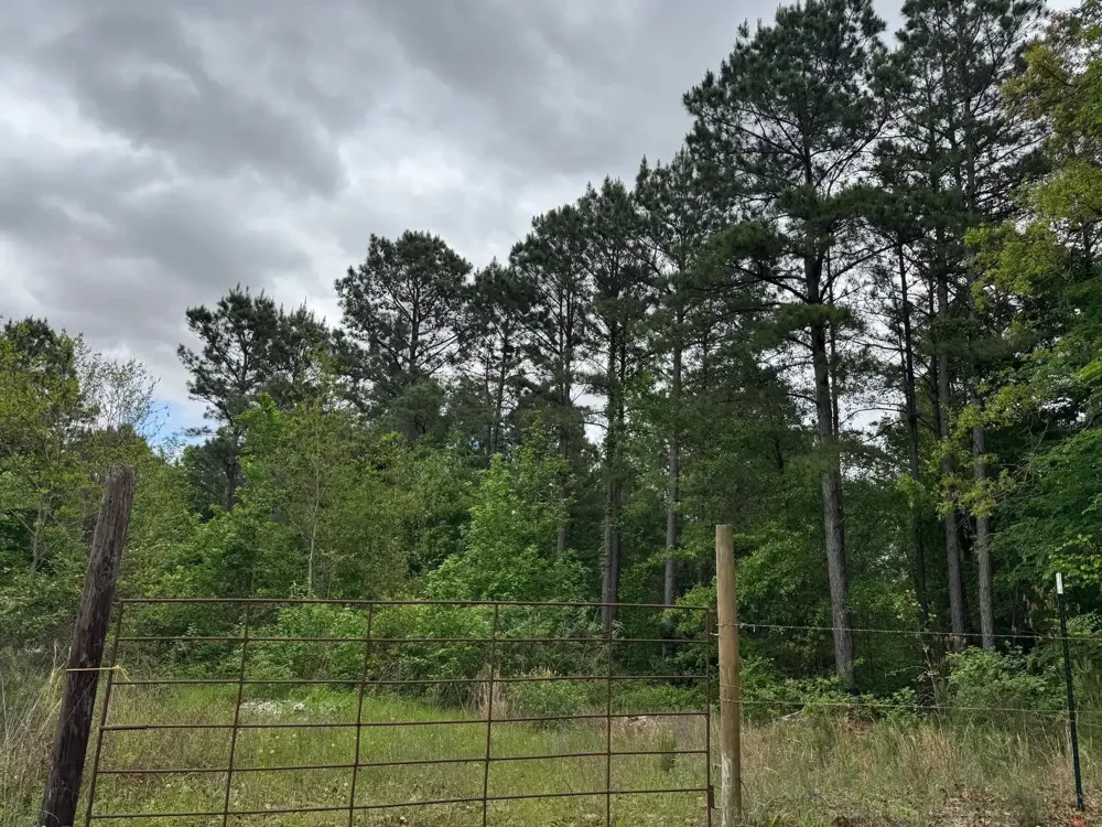 Highway 71 Ida, LA 71044