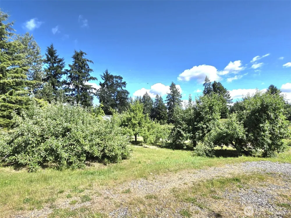 11916 Fillman Road SE Rainier, WA 98576