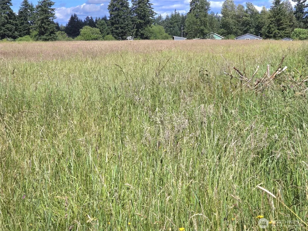 11916 Fillman Road SE Rainier, WA 98576