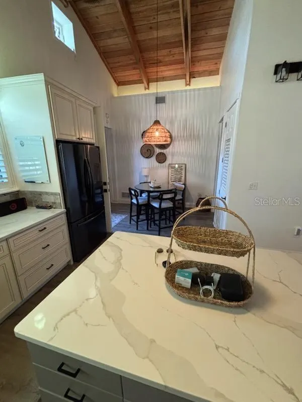 525 LEXINGTON STREET Dunedin, FL 34698